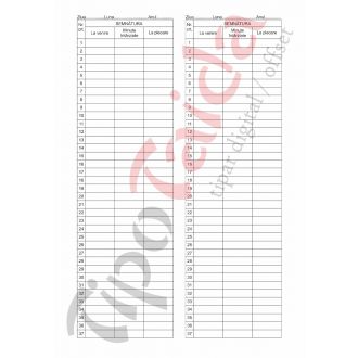 Condica prezenta (format 10x30, 32 file, tip caiet)