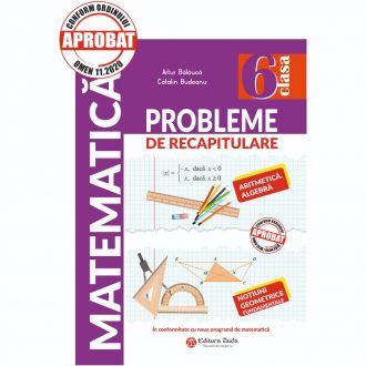 Probleme de recapitulare ... IN VACANTA si nu numai. Matematica. Clasa a VI-a - EDITIA a II-a